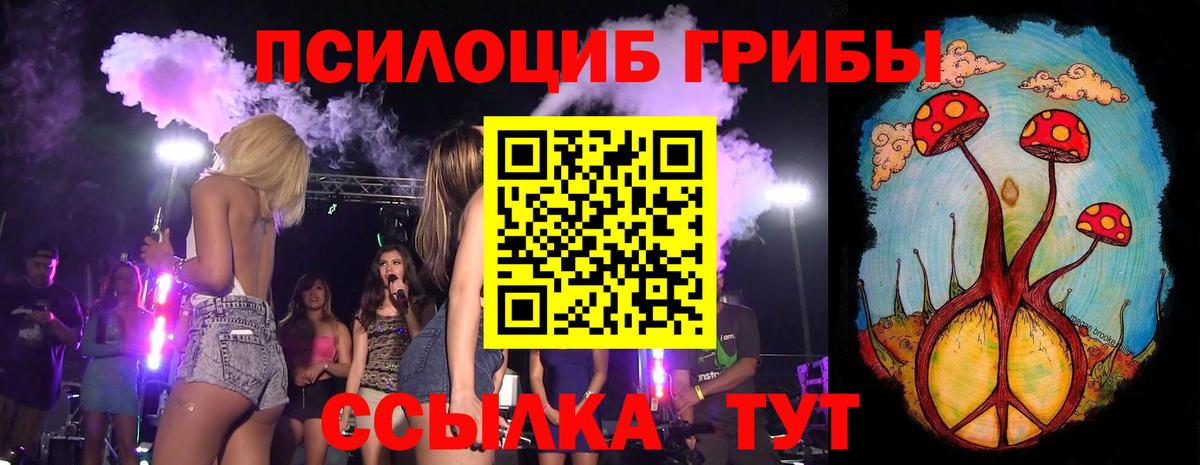 Галлюциногенные грибы прущие грибы Курган