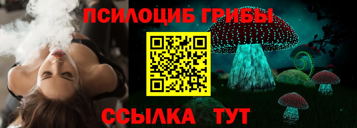 Галлюциногенные грибы Magic Shrooms  Псилоцибиновые грибы мухоморы  Курган  Вход с VPN 