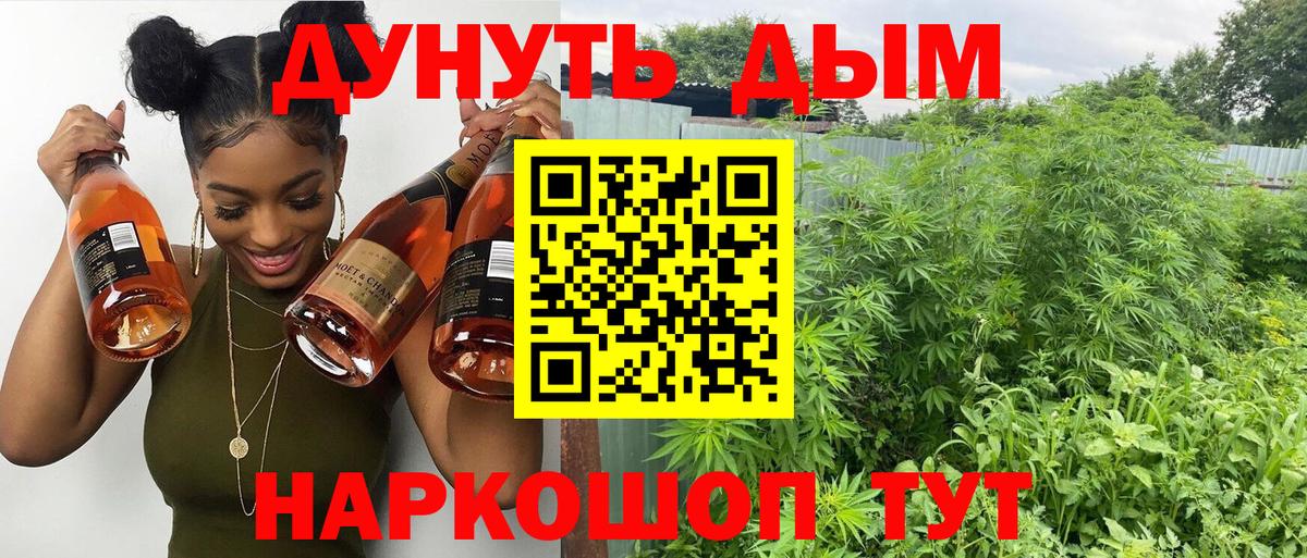 Бошки марихуана семена  Марихуана SATIVA & INDICA  Курган  Вход с VPN  Бошки марихуана тримм 